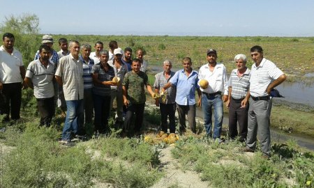 Ağdaş sakinləri kömək istəyir