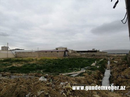 Sabunçuda koronovirusun yaratdığı şəraitdən sui-istifadə edən vəzifə sahibi kimdir 