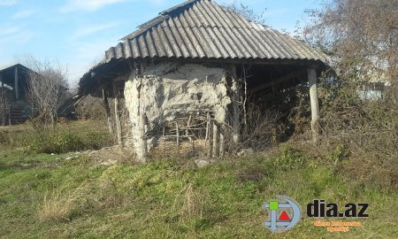 Başçının villalarının sayı-hesabı yoxdur, şəhid ailəsi isə daxmada yaşayır...