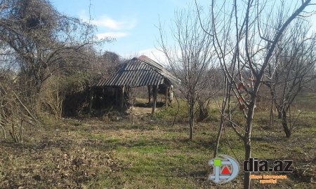 Başçının villalarının sayı-hesabı yoxdur, şəhid ailəsi isə daxmada yaşayır...