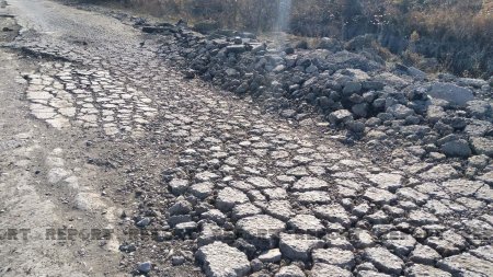 AAYDA rəsmiləri PAPAĞI GÜNƏ YANDIRANDA BELƏ OLUR...