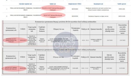 2 ay əvvəl 2 şirkət yaradıb 64 minlik tenderi uddu 