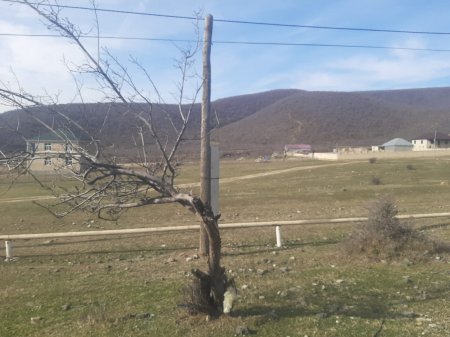 Oğuzda sakinlərlə bələdiyyə arasında torpaq qalmaqalı...